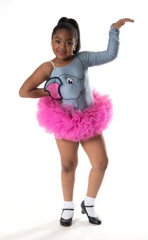 Click for more information about When Elephants Fly