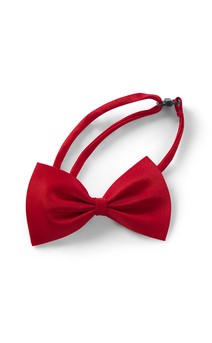 Click for more information about Bow Tie With Strap And Adjuster