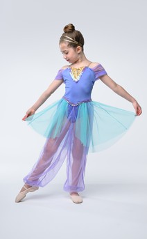 Click for more information about Arabian Princess
